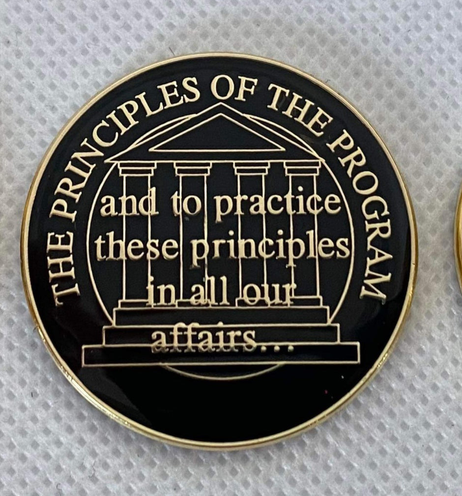 The Principels of the Program Medallion image 0