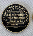 The Principels of the Program Medallion image 0