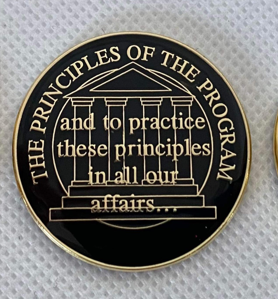 The Principels of the Program Medallion image 0