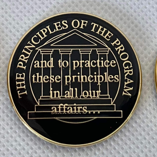 The Principels of the Program Medallion image 0