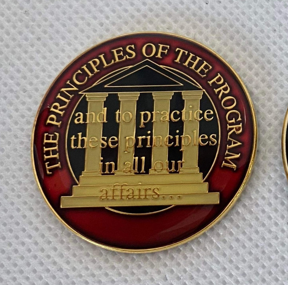 The Principels of the Program Medallion image 2