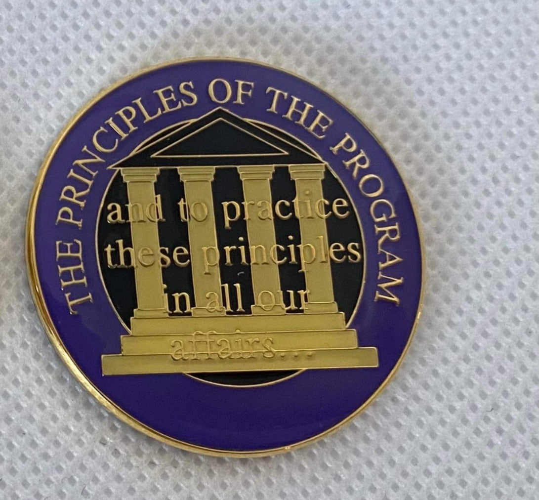 The Principels of the Program Medallion image 1